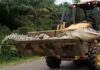 Crocodilo de meia tonelada e 4,5m, conhecido como Demônio, é morto após aterrorizar vilarejos por 50 anos