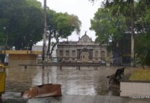 Cruz das Almas: TJ determina que Município e Estado forneçam medicamento negado pelo SUS