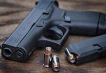 PSB aciona Supremo contra imposto zero a revólveres e pistolas importados