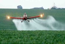 Governo aprova 67 agrotóxicos; 7 são extremamente tóxicos para o ser humano