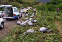 Caminhão carregado de gás cai em ribanceira na BA-632; motorista ficou ferido