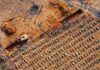 Campanha “Fora Bolsonaro” lamenta as 400 mil mortes e convoca plenária para dia 11