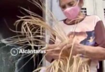 Mulher de 72 anos fica sete dias perdida na mata comendo capim e bebendo água da chuva