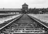 Do revisionismo histórico ao negacionismo: por que o holocausto é questionado nas redes