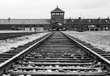 Do revisionismo histórico ao negacionismo: por que o holocausto é questionado nas redes