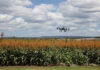 Uberização do campo: Amazon e Microsoft avançam sobre mercado de produção agrícola