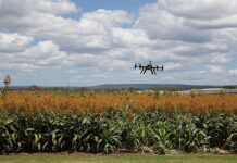 Uberização do campo: Amazon e Microsoft avançam sobre mercado de produção agrícola