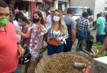 Secretária de Agricultura e Abastecimento Nil Correia, além de orientar fiscalização, confere, de perto, comercialização na Feira Livre