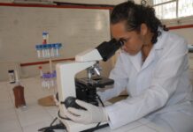 Inscrições para 6.510 vagas de cursos técnicos de nível médio na rede estadual de ensino seguem até domingo (1°/8)