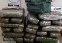 Casal é flagrado com 35kg de maconha em casa na Chapada Diamantina