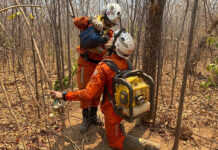 Aeronaves do Governo do Estado reforçam combate aos incêndios florestais na Bahia