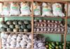 Na Bahia, PAA garante alimentação para mais de 200 mil famílias em 2021