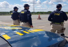 PRF apreende drogas e arma em rodovia do interior da Bahia