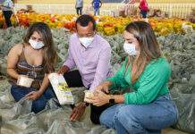 SAJ: Prefeitura executou o Programa de Aquisição de Alimentos (PAA)