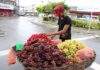 SAJ: Vendedores ambulantes de frutas poderão solicitar espaço na seção de hortifruti da feira livre