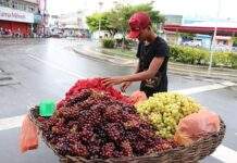SAJ: Vendedores ambulantes de frutas poderão solicitar espaço na seção de hortifruti da feira livre