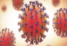 Bahia registra 12 casos de Covid-19 e mais 16 óbitos