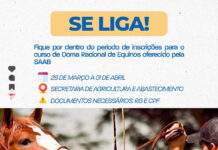 SAJ: Secretaria de Agricultura e Abastecimento (SAAB) promoverá curso de Doma Racional de Equinos