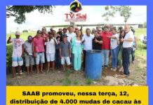 SAAB promoveu distribuição de 4.000 mudas de cacau às comunidades rurais do Jogo da Bola, Cacimba e Casaca de Ferro: SAJ