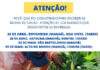 SAAB entrega mudas de cacau de 26/04 a 05/05, aos agricultores cadastrados, em S.A.JESUS