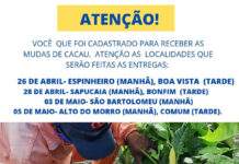 SAAB entrega mudas de cacau de 26/04 a 05/05, aos agricultores cadastrados, em S.A.JESUS