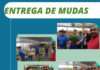 Secretaria de Agricultura promove cursos de vacinação contra brucelose e entega de mudas: MUNIZ FERREIRA