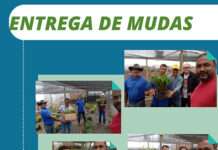 Secretaria de Agricultura promove cursos de vacinação contra brucelose e entega de mudas: MUNIZ FERREIRA
