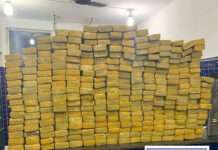 14º BPM PRENDE HOMEM EM FLAGRANTE POR TRÁFICO DE DROGAS E APREENDE 310 kg DE MACONHA