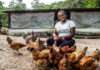 Bahia Produtiva tem mais US$ 150 milhões para a agricultura familiar