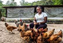 Bahia Produtiva tem mais US$ 150 milhões para a agricultura familiar