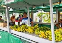 Feira da Agricultura Familiar acontece nas sextas-feiras, em Muniz Ferreira