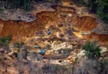 Internet de Elon Musk é vendida a garimpeiros da terra Yanomami por compradores de ouro ilegal