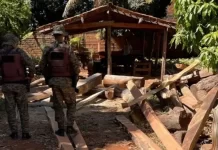 Serraria ilegal de madeira nativa é descoberta no interior da Bahia