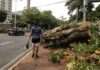 Salvador registra chegada do inverno com fortes chuvas e ventos