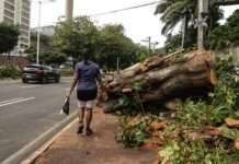 Salvador registra chegada do inverno com fortes chuvas e ventos
