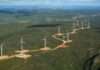 41 novos parques de energias renováveis entram em operação na Bahia no primeiro semestre de 2023