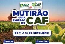 Acesso ao Desenvolvimento Agrícola: Emissão do CAF na Secretaria de Agricultura de 11 a 15 de setembro