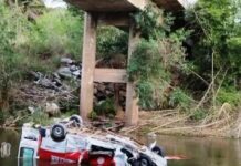 Bombeiro que caiu de ponte segue hospitalizado; cachorro de vítimas de 1° acidente sobreviveu