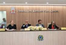 Câmara Municipal discute em audiência pública uso de agrotóxicos em Santo Antonio de Jesus