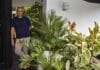 Jardins verticais levam a natureza para dentro de casa