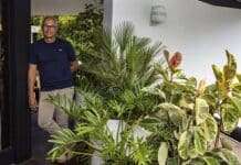 Jardins verticais levam a natureza para dentro de casa