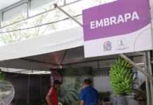Embrapa marca presença na ExpoCruz 2023