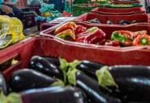 Brasil é o maior consumidor de agrotóxicos do mundo, diz Ministério da Agricultura
