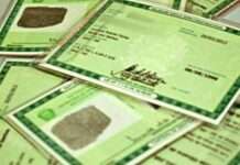 O que muda com nova lei do CPF? Entenda regras para documentos