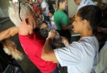 Cajazeiras recebe mutirão de vacina V10 gratuita para cães na próxima terça (5) – Secretaria de Comunicação Cajazeiras recebe mutirão de vacina V10 gratuita para cães na próxima terça (5) – Secretaria de Comunicação