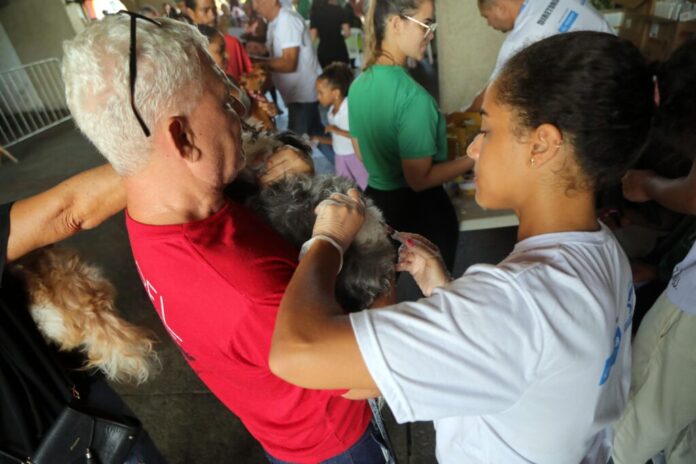 Cajazeiras recebe mutirão de vacina V10 gratuita para cães na próxima terça (5) – Secretaria de Comunicação