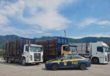 Em ação conjunta, PRF e CCR/SP realizam fiscalização de veículos de carga — Polícia Rodoviária Federal WhatsApp Image 2024-02-28 at 10.20.04.jpeg