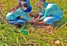 Oeste baiano avança para reduzir emissões de gases do efeito estufa