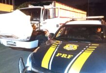 PRF apreende CRLV falso durante abordagem em Seabra (BA) — Polícia Rodoviária Federal cnh falsa 6.jfif