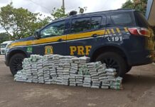 PRF apreende cerca de 200 kg de substância análoga à maconha/skunk em Gurupi/TO — Polícia Rodoviária Federal WhatsApp Image 2024-02-28 at 13.27.57.jpeg